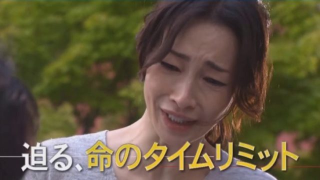 フジテレビ ドラマ 再放送 予定 夕方
