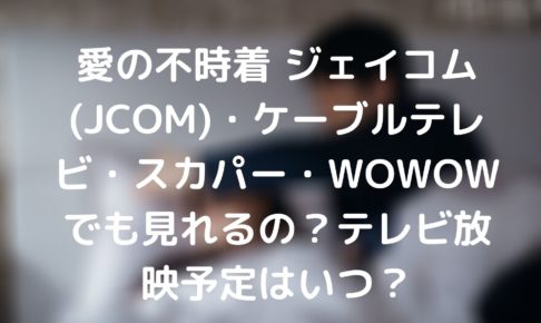 愛の不時着 ジェイコム Jcom ケーブルテレビ スカパー Wowowでも見れるの テレビ放映予定はいつ Tickledpink