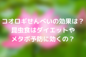 コオロギクッキー無印のカロリー 栄養 成分 効果 味は美味しいまずい口コミ 評判を調査 Tickledpink