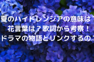 神農生活の読み方や意味は 口コミ利用者の声は 台湾で人気な品は Tickledpink