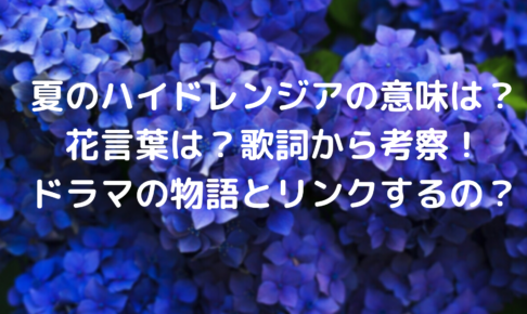 夏のハイドレンジアの意味は 花言葉は 歌詞から考察 ドラマの物語とリンクするの Tickledpink