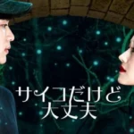 韓国ドラマ『サイコだけど大丈夫』キャストやあらすじまとめ