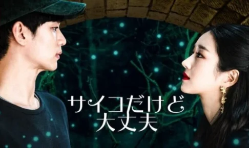 韓国ドラマ『サイコだけど大丈夫』キャストやあらすじまとめ