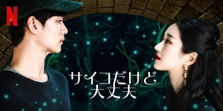 韓国ドラマ『サイコだけど大丈夫』キャストやあらすじまとめ