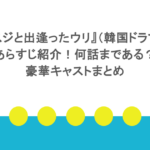 『スジと出逢ったウリ』(韓国ドラマ)あらすじ紹介!何話まである?豪華キャストまとめ