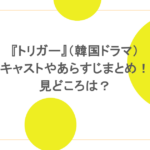 『トリガー』(韓国ドラマ)キャストやあらすじまとめ!見どころは?