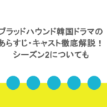 ブラッドハウンド韓国ドラマのあらすじ・キャスト徹底解説!シーズン2についても