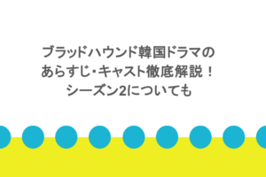 ブラッドハウンド韓国ドラマのあらすじ・キャスト徹底解説！シーズン2についても