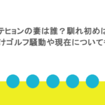 チャテヒョンの妻は誰？馴れ初めは？賭けゴルフ騒動や現在についても