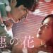 惡の華 韓国ドラマの感想は面白い？面白くない？評価や視聴率はどうだった？
